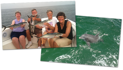 Enjoy the perfect trip with fishing or dolphin watching